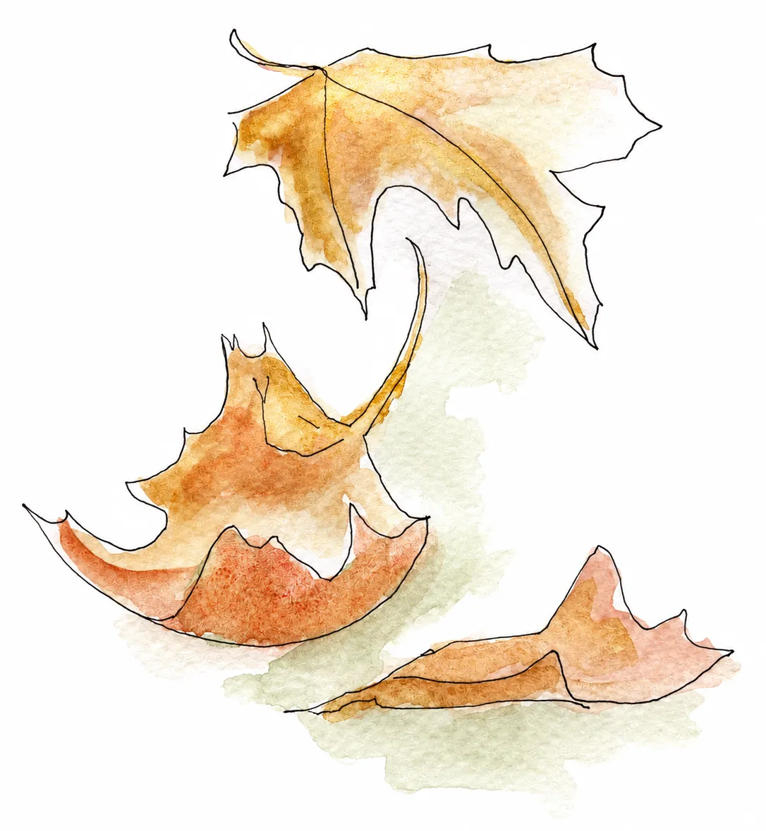 Autumn